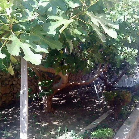 Puntica Appartement